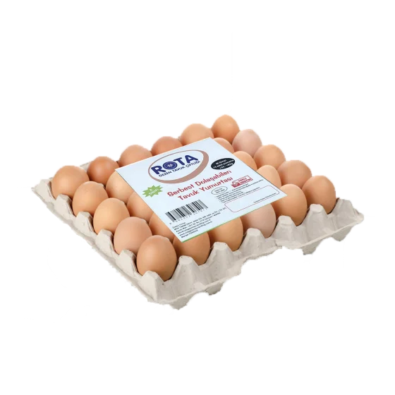 30'lu L Krem Yumurta